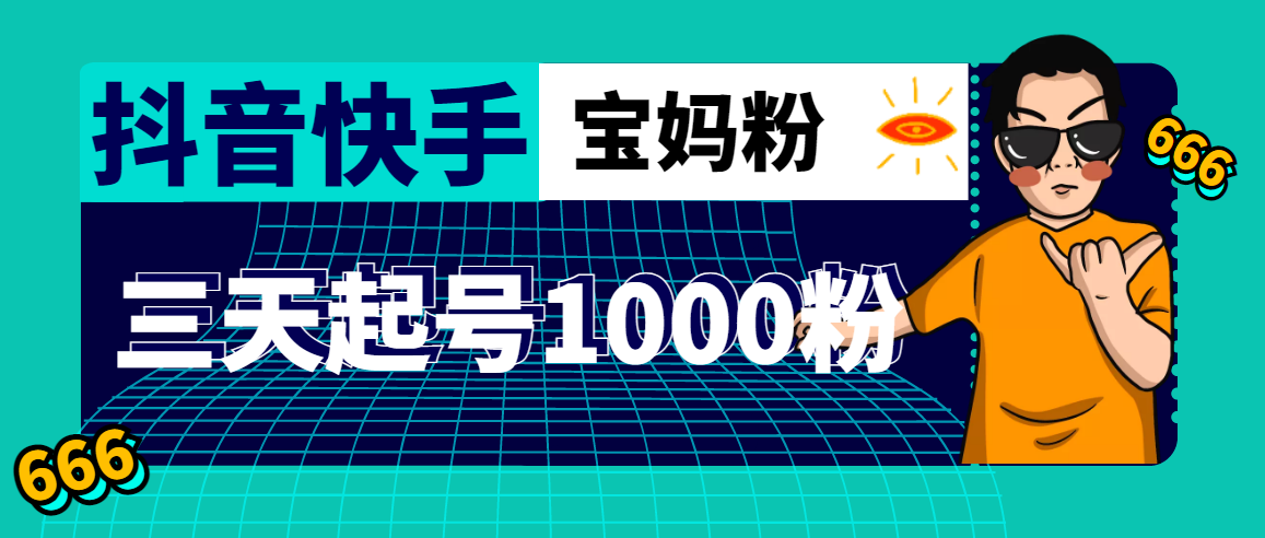 （4818期）抖音快手三天起号涨粉1000宝妈粉丝的核心方法【详细玩法教程】-千城资源网