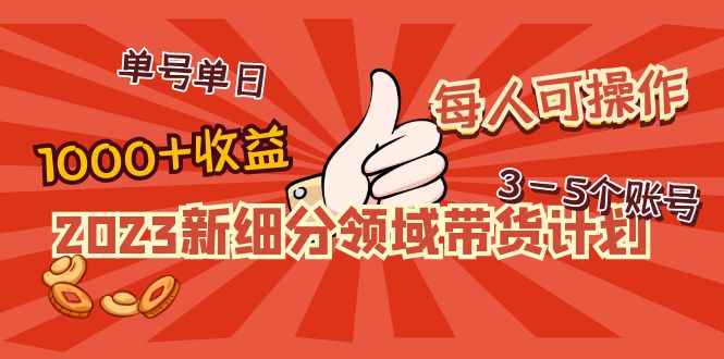 （4827期）2023新细分领域带货计划：单号单日1000+收益不难，每人可操作3-5个账号-千城资源网