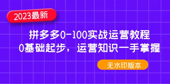 （4835期）2023拼多多0-100实战运营教程，0基础起步，运营知识一手掌握（无水印）-千城资源网