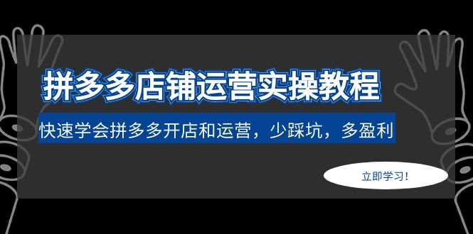 （4883期）拼多多店铺运营实操教程：快速学会拼多多开店和运营，少踩坑，多盈利-千城资源网