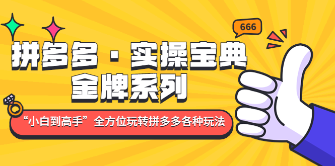 （4934期）拼多多·实操宝典：金牌系列“小白到高手”带你全方位玩转拼多多各种玩法-千城资源网