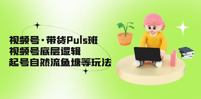 （5027期）视频号·带货Puls班，视频号底层逻辑，起号自然流鱼塘等玩法-千城资源网