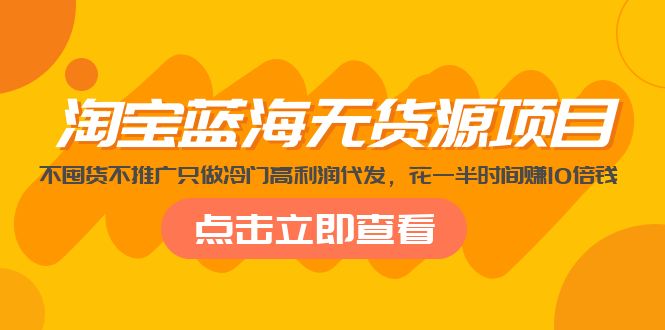 （5062期）淘宝蓝海无货源项目，不囤货不推广只做冷门高利润代发，花一半时间赚10倍钱-千城资源网