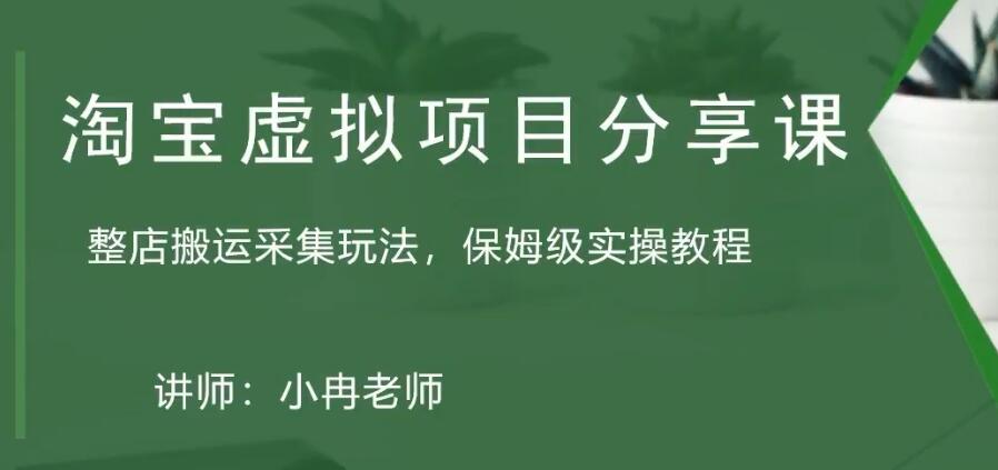 （5090期）淘宝虚拟整店搬运采集玩法分享课：整店搬运采集玩法，保姆级实操教程-千城资源网