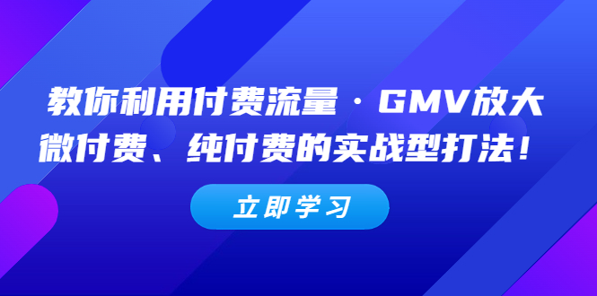 （5106期）教你利用付费流量·GMV放大，微付费、纯付费的实战型打法！-千城资源网