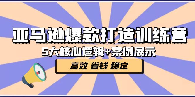 （5107期）亚马逊爆款打造训练营：5大核心逻辑+案例展示 打造爆款链接 高效 省钱 稳定-千城资源网