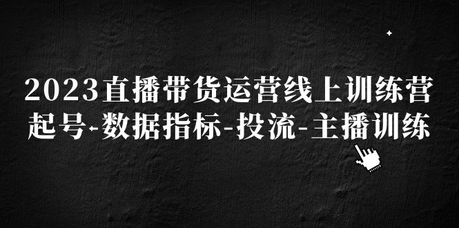 （5122期）2023直播带货运营线上训练营，起号-数据指标-投流-主播训练-千城资源网
