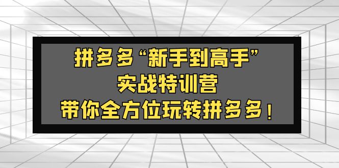 （5173期）拼多多“新手到高手”实战特训营：带你全方位玩转拼多多！-千城资源网