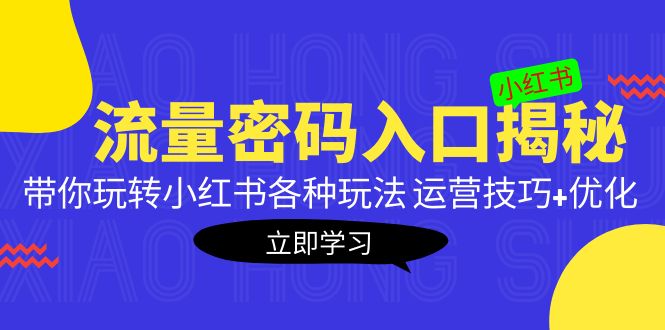 （5179期）小红书流量密码入口揭秘：带你玩转小红书各种玩法 运营技巧+优化！-千城资源网