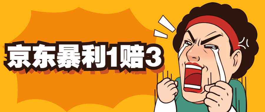 （5303期）京东暴利一赔三，单号可下车1W+，新号基本稳下（仅供揭秘）-千城资源网