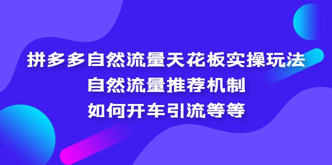 （5327期）拼多多自然流量天花板实操玩法：自然流量推荐机制，如何开车引流等等-千城资源网
