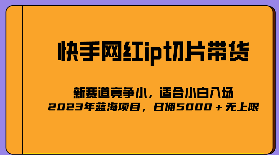 （5346期）2023爆火的快手网红IP切片，号称日佣5000＋的蓝海项目，二驴的独家授权-千城资源网