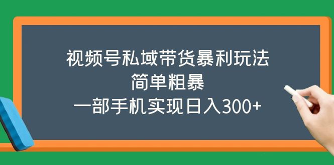 （5544期）视频号私域带货暴利玩法，简单粗暴，一部手机实现日入300+-千城资源网