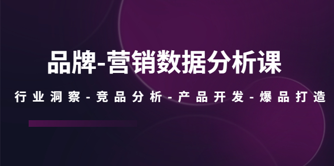 （5565期）品牌-营销数据分析课，行业洞察-竞品分析-产品开发-爆品打造-千城资源网