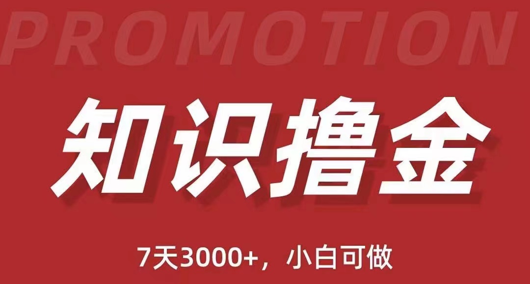 （5629期）抖音知识撸金项目：简单粗暴日入1000+执行力强当天见收益(教程+资料)-千城资源网