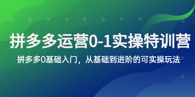 （5747期）拼多多-运营0-1实操训练营，拼多多0基础入门，从基础到进阶的可实操玩法-千城资源网