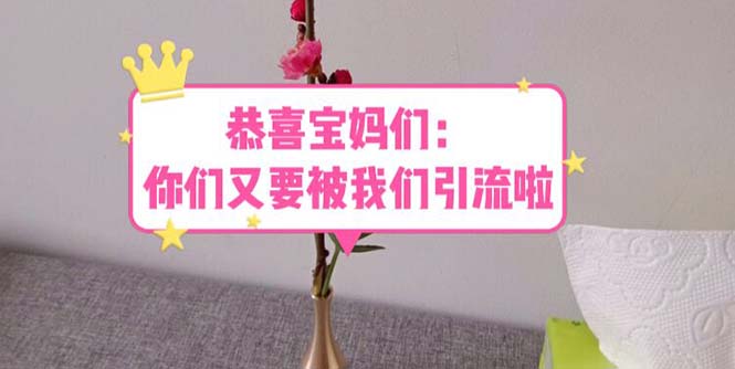 （5891期）恭喜宝妈们：你们又要被我们引流了（教程+222g资料）-千城资源网