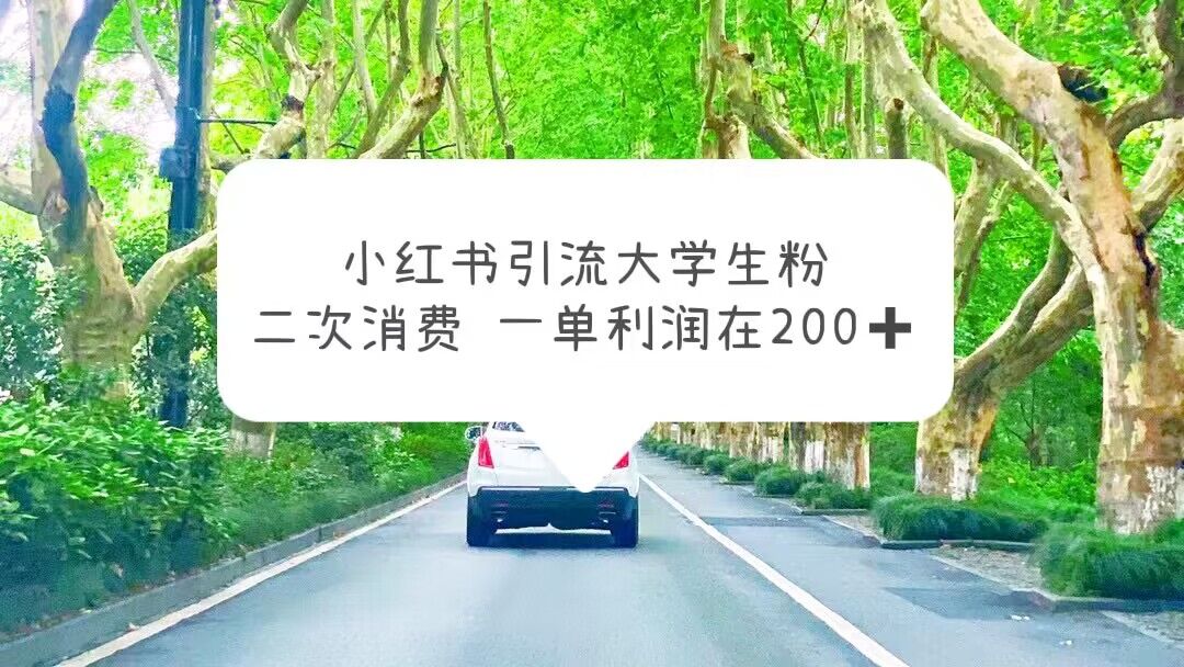 （5914期）小红书引流大学生粉，变现项目，一单利润在200+（教程+资源）-千城资源网
