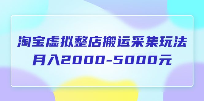 （5931期）淘宝虚拟整店搬运采集玩法分享课：月入2000-5000元（5节课）-千城资源网