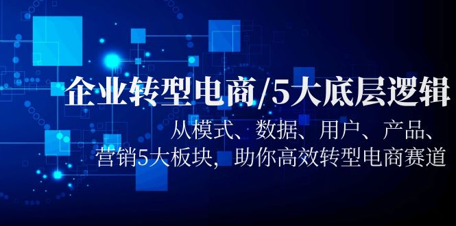 （5939期）企业转型电商/5大底层逻辑，从模式 数据 用户 产品 营销5大板块，高效转型-千城资源网