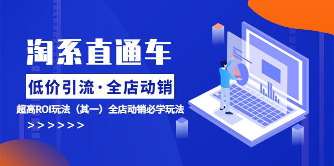 （5954期）淘系直通车《低价·引流 全店·动销》超高ROI玩法（其一）全店动销必学玩法-千城资源网