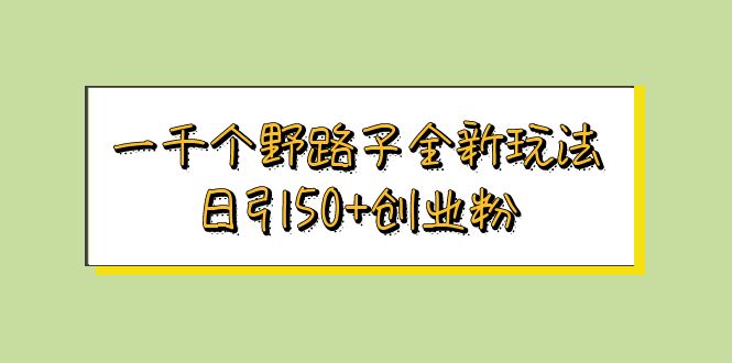 （5960期）一千个野路子全新玩法 日引50+创业粉-千城资源网