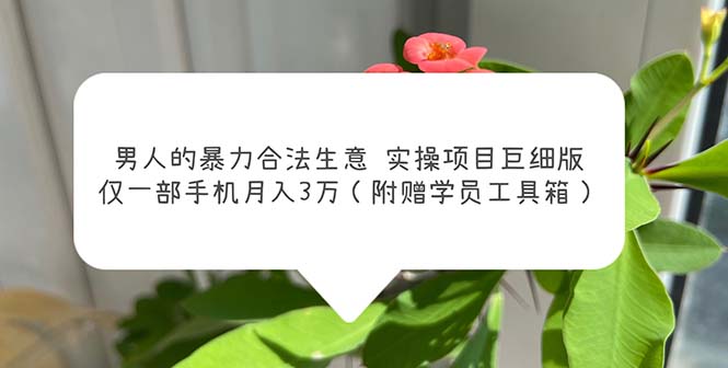 （5962期）男人的暴力合法生意实操项目巨细版：仅一部手机月入3w（附赠学员工具箱）-千城资源网