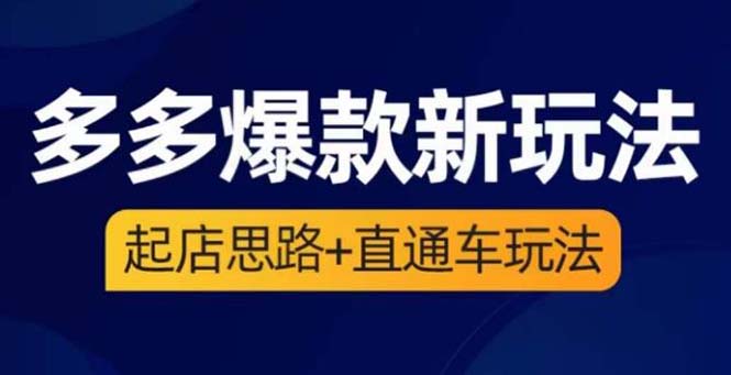 （6028期）2023拼多多爆款·新玩法：起店思路+直通车玩法（3节精华课）-千城资源网
