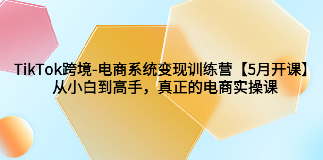 （6058期）TikTok跨境-电商系统变现训练营【5月新课】从小白到高手，真正的电商实操课-千城资源网