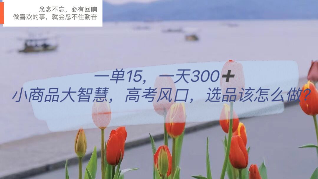 （6077期）一单15，一天300+，小商品大智慧，高考风口，选品该怎么布局-千城资源网