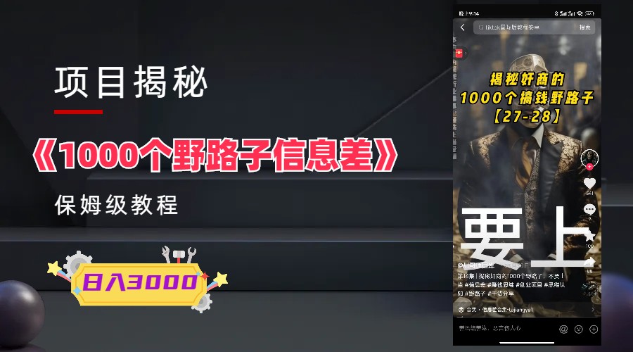 （6135期）1000个野路子信息差保姆式教程-单日变现3000+的玩法解密-千城资源网