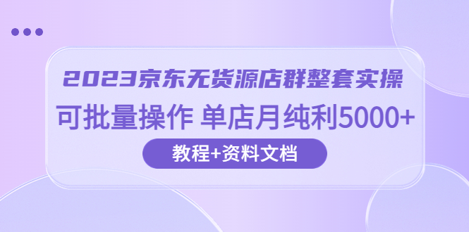 （6223期）2023京东-无货源店群整套实操 可批量操作 单店月纯利5000+63节课+资料文档-千城资源网