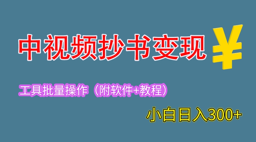 （6246期）2023中视频抄书变现（附工具+教程），一天300+，特别适合新手操作的副业-千城资源网