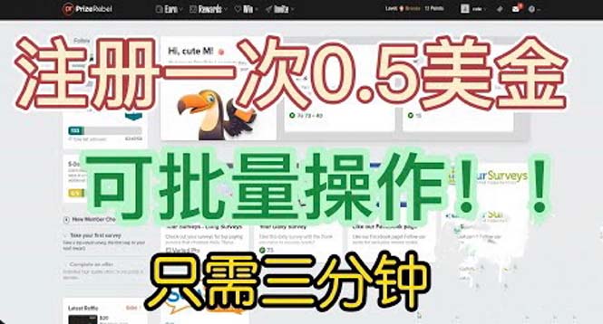（6285期）国外项目注册一次0.5美金 只需三分钟无脑操作 可批量放大 小白工作室福利-千城资源网