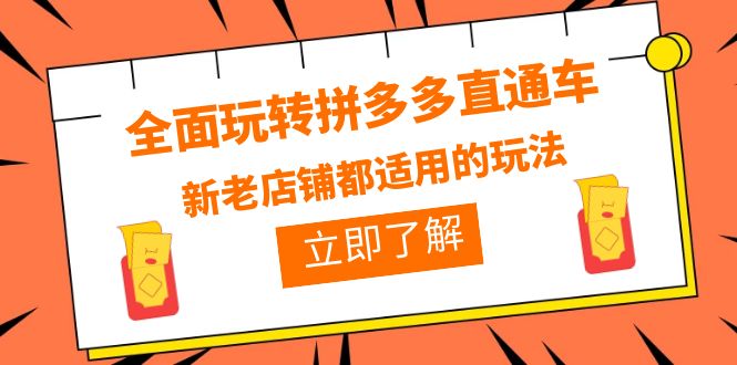（6294期）全面玩转拼多多直通车，新老店铺都适用的玩法（12节精华课）-千城资源网
