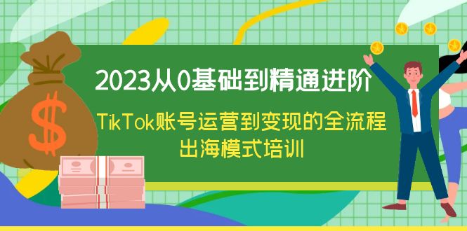 （6299期）2023从0基础到精通进阶，TikTok账号运营到变现的全流程出海模式培训-千城资源网