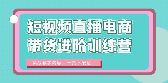 （6401期）短视频直播电商带货进阶训练营：实战教学内容，干货不废话！-千城资源网