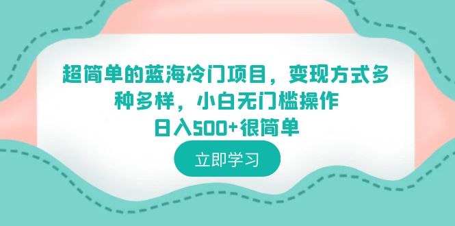 （6422期）超简单的蓝海冷门项目，变现方式多种多样，小白无门槛操作日入500+很简单-千城资源网