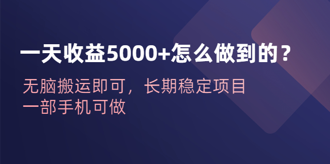 （6435期）一天收益5000+怎么做到的？无脑搬运即可，长期稳定项目，一部手机可做-千城资源网