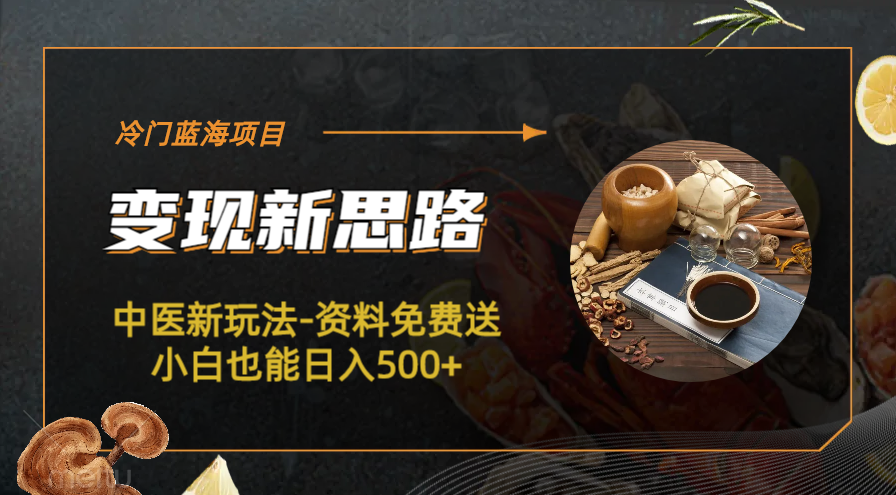 （6452期）冷门蓝海项目-中医新玩法-资料免费送小白也能日入500+-千城资源网