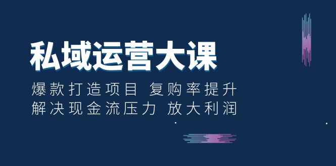 （6455期）私域运营大课：爆款打造项目 复购率提升 解决现金流压力 放大利润-千城资源网