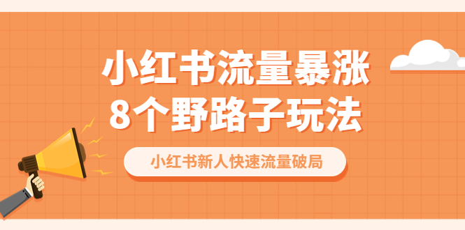 （6476期）小红书流量-暴涨8个野路子玩法：小红书新人快速流量破局（8节课）-千城资源网