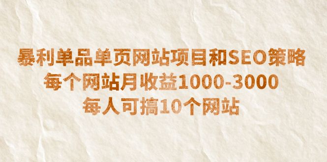（6503期）暴利单品单页网站项目和SEO策略  每个网站月收益1000-3000  每人可搞10个-千城资源网