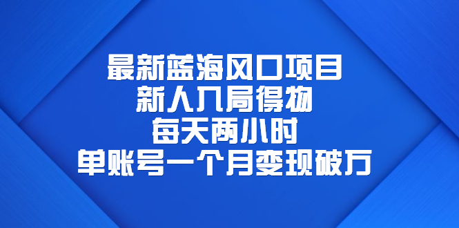 （6514期）最新蓝海风口项目，新人入局得物，每天两小时，单账号一个月变现破万-千城资源网