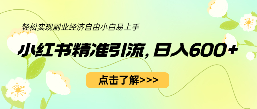 （6515期）小红书精准引流，小白日入600+，轻松实现副业经济自由（教程+1153G资源）-千城资源网