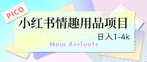 （6555期）最新小红书情趣用品项目，日入1-4k-千城资源网