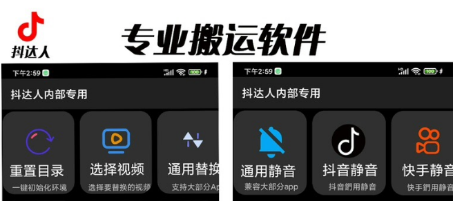 （6576期）对外收费699抖音傻瓜式一键搬运，起号专用5分钟一个视频《软件+详细教程》-千城资源网