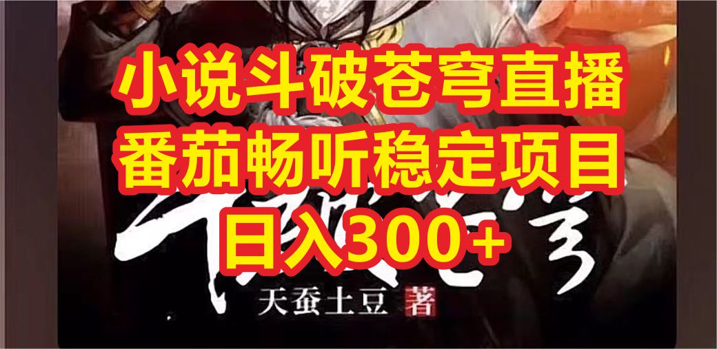 （6584期）小说斗破苍穹直播，番茄畅听日入300+稳定项目-千城资源网