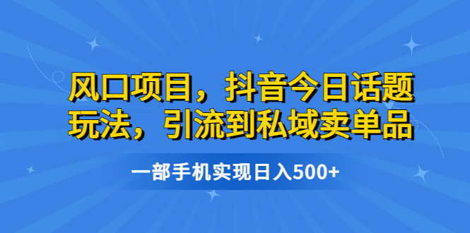 （6588期）风口项目，抖音今日话题玩法，引流到私域卖单品，一部手机实现日入500+-千城资源网