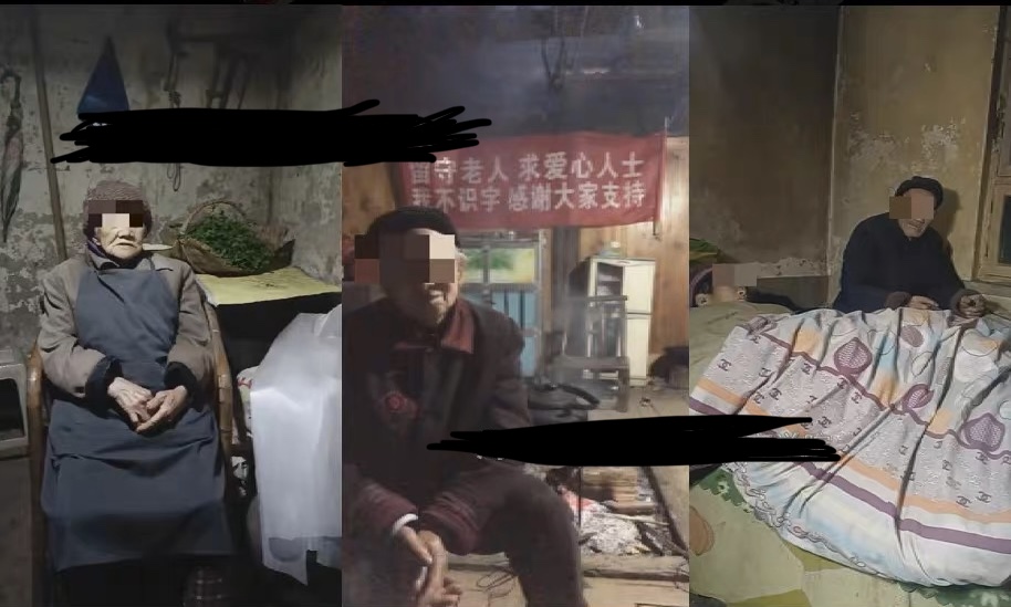 （6597期）老人直播卖惨撸音浪无人挂机项目【开播教程+老人素材】仅揭秘-千城资源网